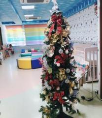 �摜(207x240)�E�g��摜(415x480)