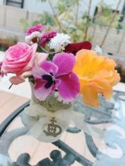 �摜(180x240)�E�g��摜(480x640)