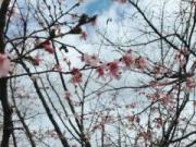 �摜(180x135)�E�g��摜(640x480)