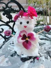 画像(180x240)・拡大画像(480x640)