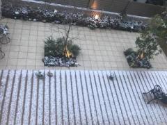 画像(240x180)・拡大画像(640x480)