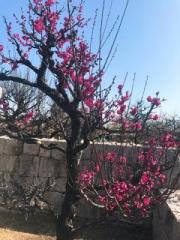 �摜(180x240)�E�g��摜(480x640)