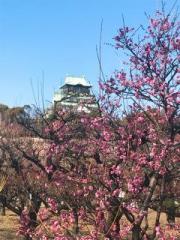 �摜(180x240)�E�g��摜(480x640)