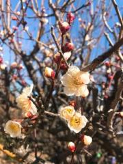 �摜(180x240)�E�g��摜(480x640)