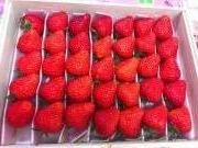 画像(180x135)・拡大画像(640x480)