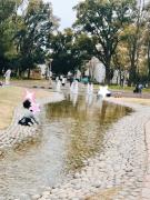 画像(135x180)・拡大画像(480x640)