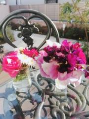 画像(180x240)・拡大画像(480x640)