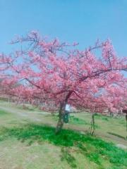 �摜(180x240)�E�g��摜(480x640)