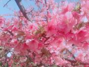 �摜(180x135)�E�g��摜(640x480)