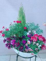 �摜(180x240)�E�g��摜(480x640)