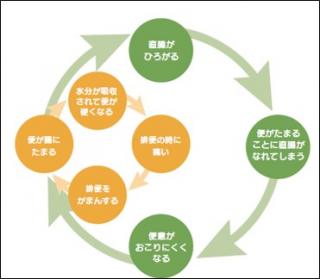 �摜(320x279)�E�g��摜(371x324)