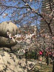 �摜(180x240)�E�g��摜(480x640)