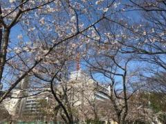 �摜(240x180)�E�g��摜(640x480)