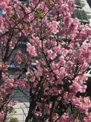 �摜(180x240)�E�g��摜(480x640)