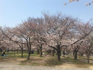 画像(320x240)・拡大画像(640x480)