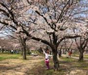 画像(180x153)・拡大画像(640x546)