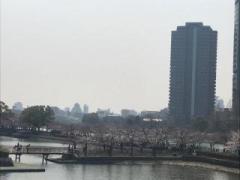 画像(240x180)・拡大画像(640x480)