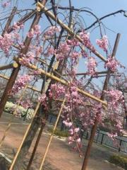 画像(180x240)・拡大画像(480x640)