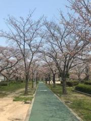 画像(180x240)・拡大画像(480x640)