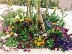 画像(240x180)・拡大画像(640x480)