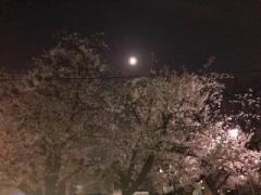 �摜(240x180)�E�g��摜(640x480)