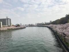 画像(240x180)・拡大画像(640x480)