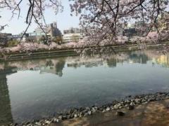 画像(240x180)・拡大画像(640x480)