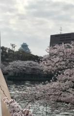 画像(153x240)・拡大画像(408x640)