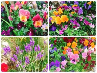 画像(320x240)・拡大画像(640x480)