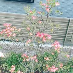 画像(240x240)・拡大画像(640x640)