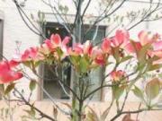 画像(180x135)・拡大画像(640x480)