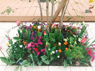 画像(320x240)・拡大画像(640x480)