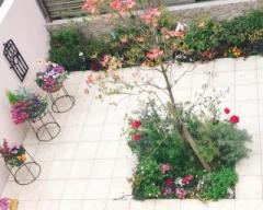 画像(240x192)・拡大画像(640x514)