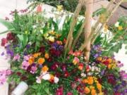 画像(180x135)・拡大画像(640x480)