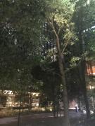 画像(135x180)・拡大画像(480x640)