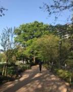 �摜(144x180)�E�g��摜(512x640)