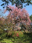 �摜(135x180)�E�g��摜(480x640)