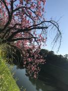 �摜(135x180)�E�g��摜(480x640)