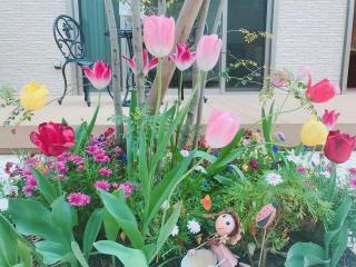 �摜(320x240)�E�g��摜(640x480)