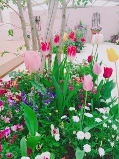 �摜(240x320)�E�g��摜(480x640)