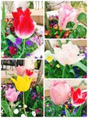 �摜(180x240)�E�g��摜(480x640)