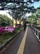 �摜(135x180)�E�g��摜(480x640)