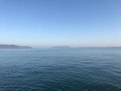 �摜(240x180)�E�g��摜(640x480)