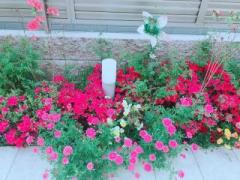 �摜(240x180)�E�g��摜(640x480)