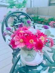 �摜(180x240)�E�g��摜(480x640)