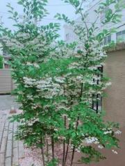 �摜(180x240)�E�g��摜(480x640)