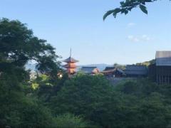 �摜(240x180)�E�g��摜(640x480)