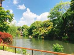 �摜(240x180)�E�g��摜(640x480)