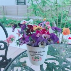 �摜(240x240)�E�g��摜(640x640)