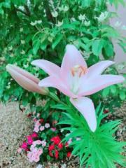 画像(180x240)・拡大画像(480x640)